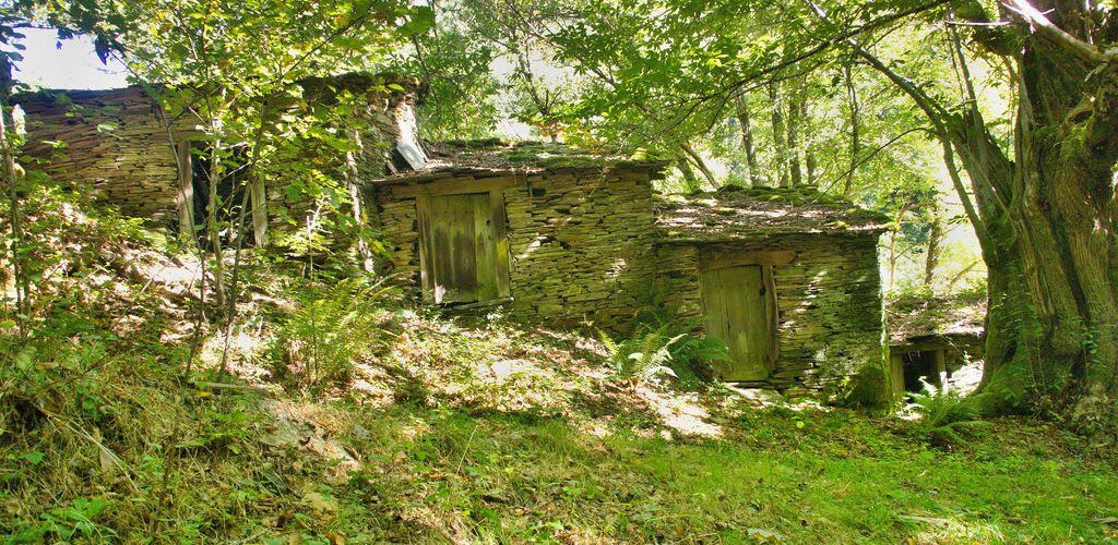 Cabanas de Carballois. Ruta do Río Pequeno en O Courel