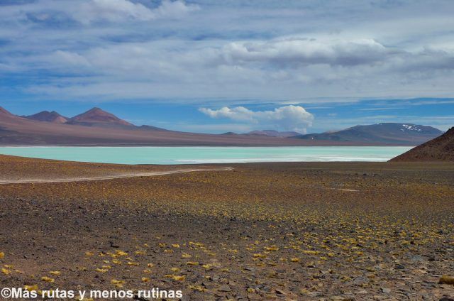 laguna-brava