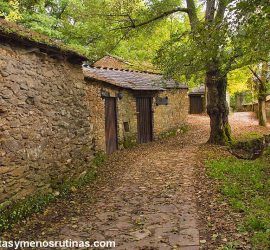 Adegas de A Abeleira en la Ribeira Sacra