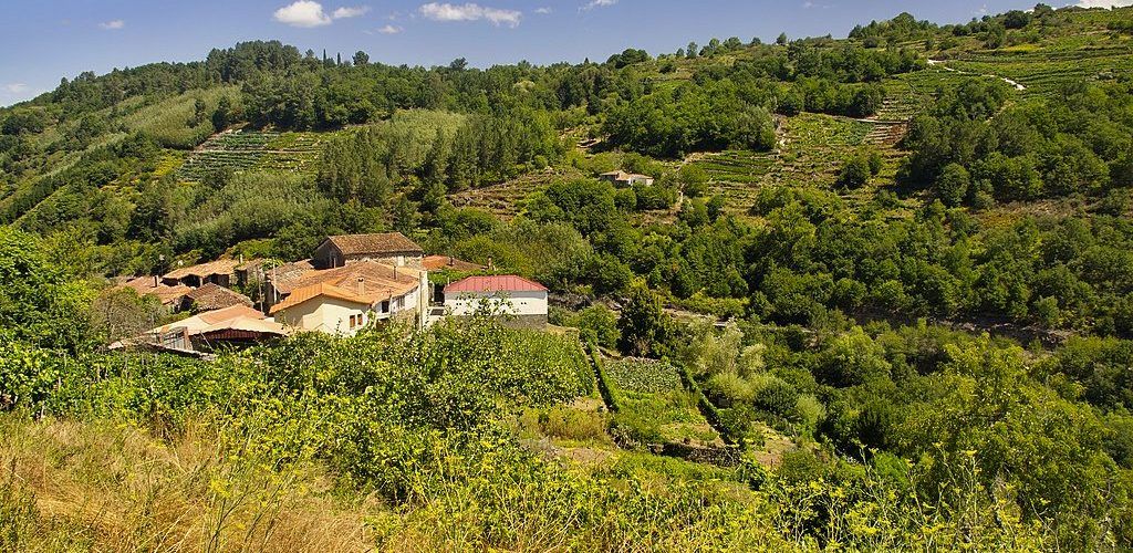 Ribeiras del Cabe en Pantón: Senderismo en la Ribeira Sacra