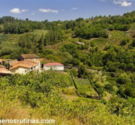 Ribeiras del Cabe en Pantón: Senderismo en la Ribeira Sacra