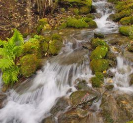 Camiño de Ventureira _ Fragas del Eume