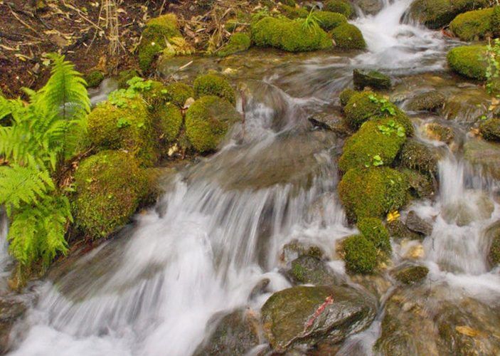 Camiño de Ventureira _ Fragas del Eume