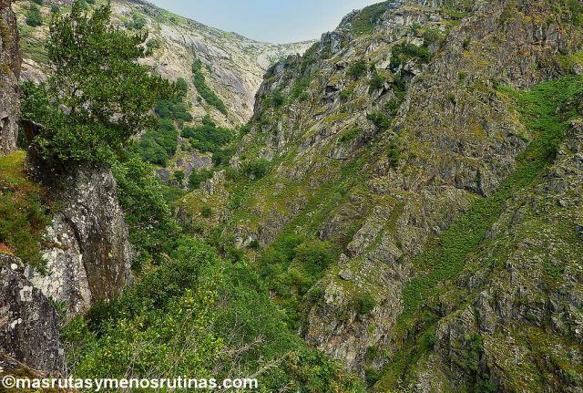 Cañón del Eume