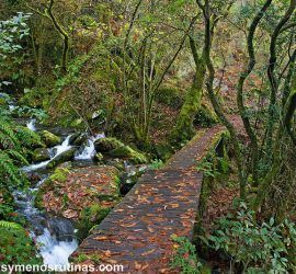 Fragas del Eume en otoño. Camiño de Ventureira