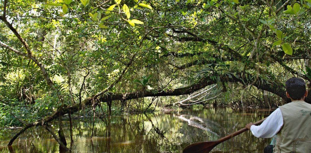 Reserva Tingana
