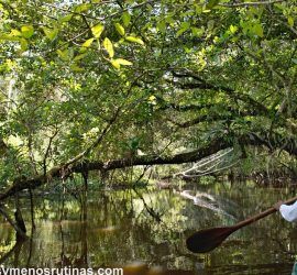 Reserva Tingana
