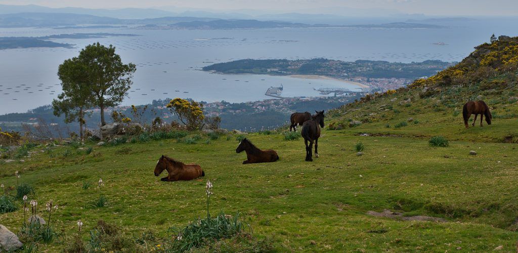 Vistas de la ría de Arousa en la ruta río Pedras hasta A Curota