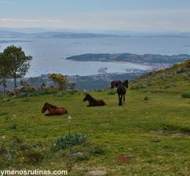 Vistas de la ría de Arousa en la ruta río Pedras hasta A Curota