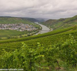 Valle del Mosela