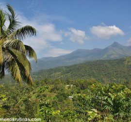 Carretera de Tekkady a Munnar