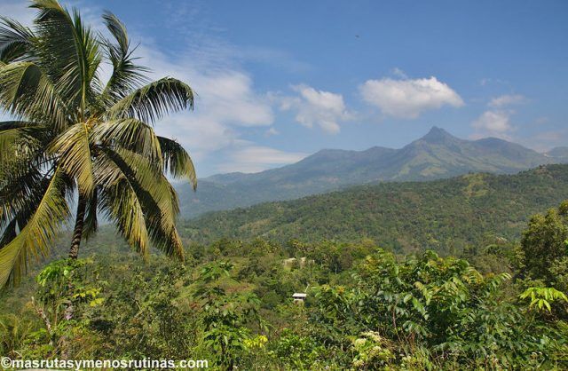 Carretera de Tekkady a Munnar: Viaje al sur de India