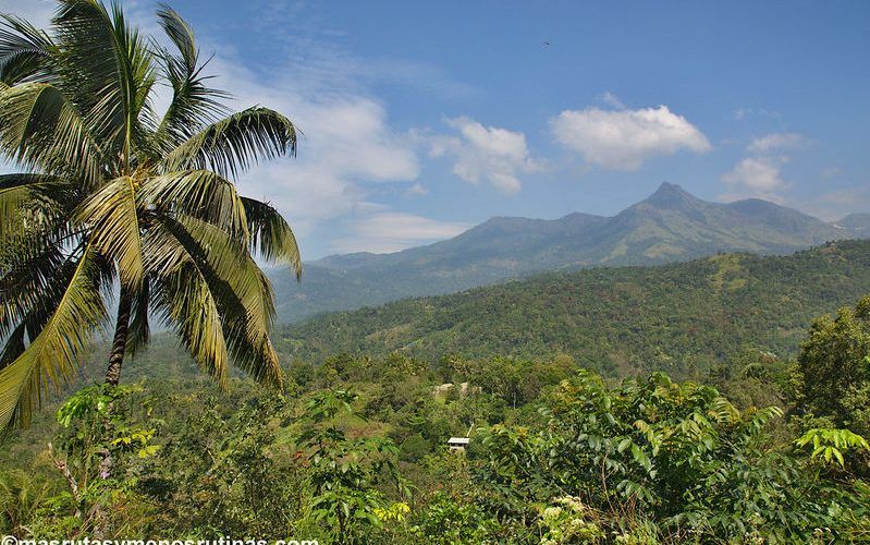 Carretera de Tekkady a Munnar