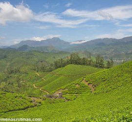 Trekking por los campos de té de Munnar
