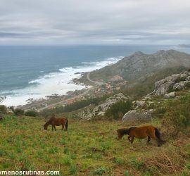 Ruta por Cabo Silleiro_ vistas desde la Serra da Groba