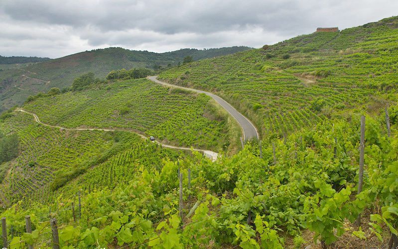 Sendero de A Teixeira