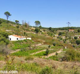 Trilho da Foia en la Serra de Monchique