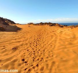 Dunas rojas en la Ruta Vicentina entre Almograve y Zambujeira do Mar