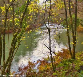 Río Eume en el Camiño dos Encomendeiros de Fragas del Eume