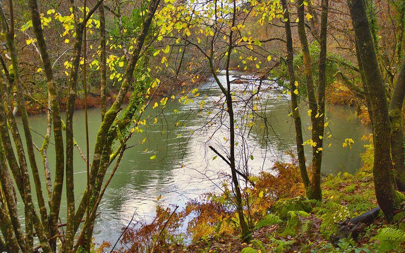 Río Eume en el Camiño dos Encomendeiros de Fragas del Eume