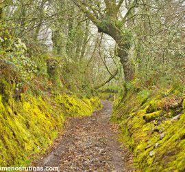 Camino de Santiago francés de Triacastela a Sarria por San Xil