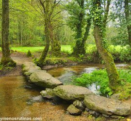Río Catasol en el Camino de Santiago de Melide a Arzúa
