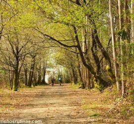 Camino de Santiago en O Pino