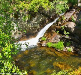 Cascadas de Nogaledas en Valle del Jerte