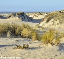 Reserva Natural de las Dunas de Sao Jacinto en la costa de Aveiro