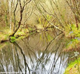 Río Trimaz en Xermade