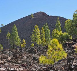 Ruta del volcán Chinyero en Tenerife