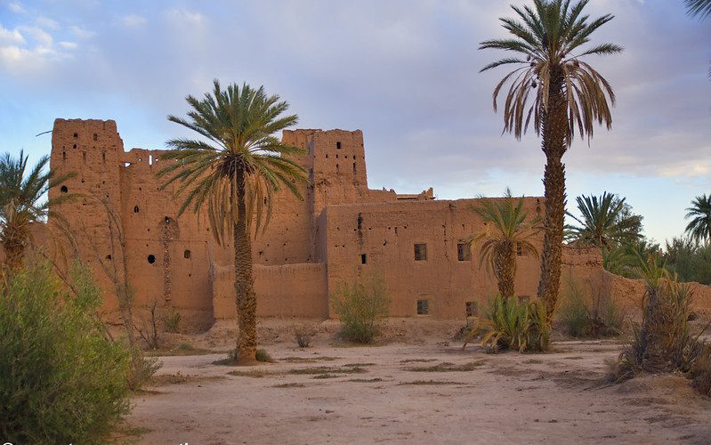Kasbahs en el palmeral de Skoura
