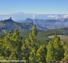 Mirador del Pico de las Nieves, el más alto de los miradores de Gran Canaria