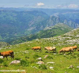 Alto Gamoniteiro en la Sierra del Aramo