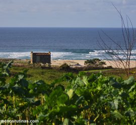Praia do Rostro en la etapa 5 del Camino a Fisterra_ de Muxía a Fisterra