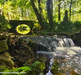 Senda fluvial del río dos Gafos en la etapa 10 del Camino portugués de la costa_ de Arcade a Pontevedra