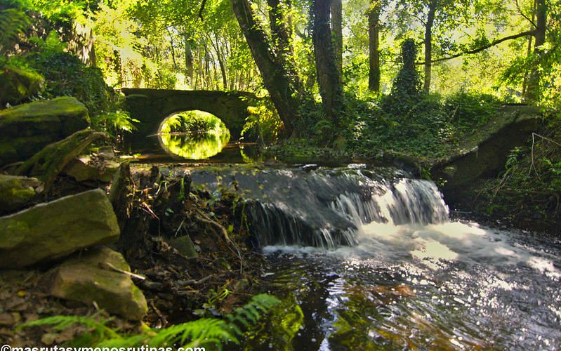 Senda fluvial del río dos Gafos en la etapa 10 del Camino portugués de la costa_ de Arcade a Pontevedra