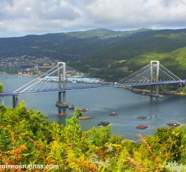 Vista del Puente de Rande en la ría de Vigo _ Etapa 9 del Camino portugués de la costa