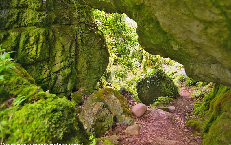 Bosque Os Grobos en Becerreá