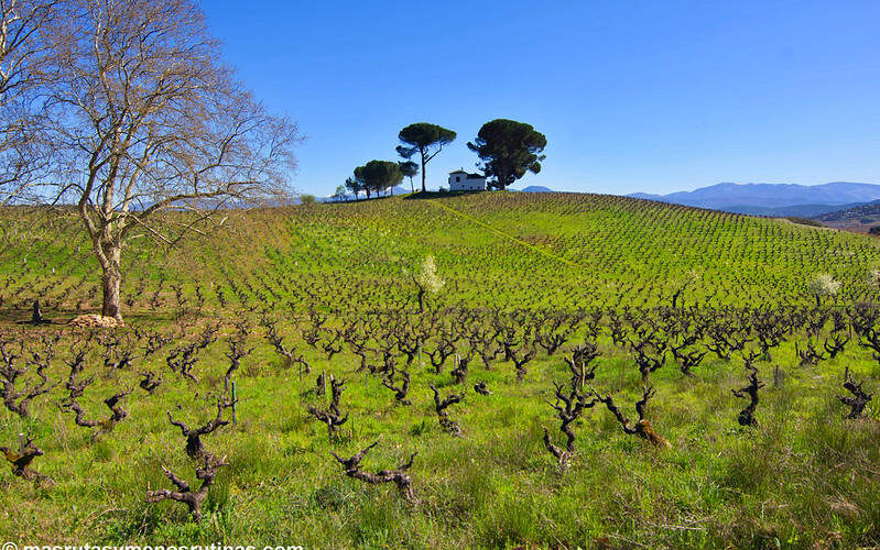 Camino francés de Ponferrada a Villafranca del Bierzo