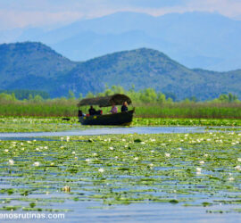 Navegando por el Lago Skadar en Montenegro