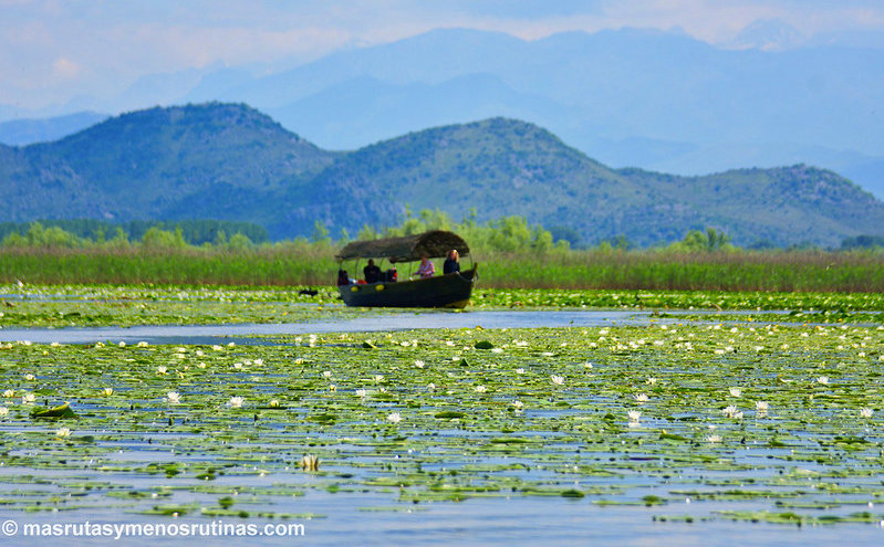 Navegando por el Lago Skadar en Montenegro